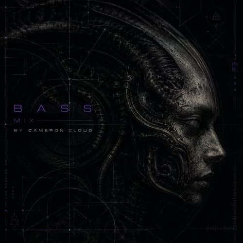 Bass Mix Vol. 2 cover artwork